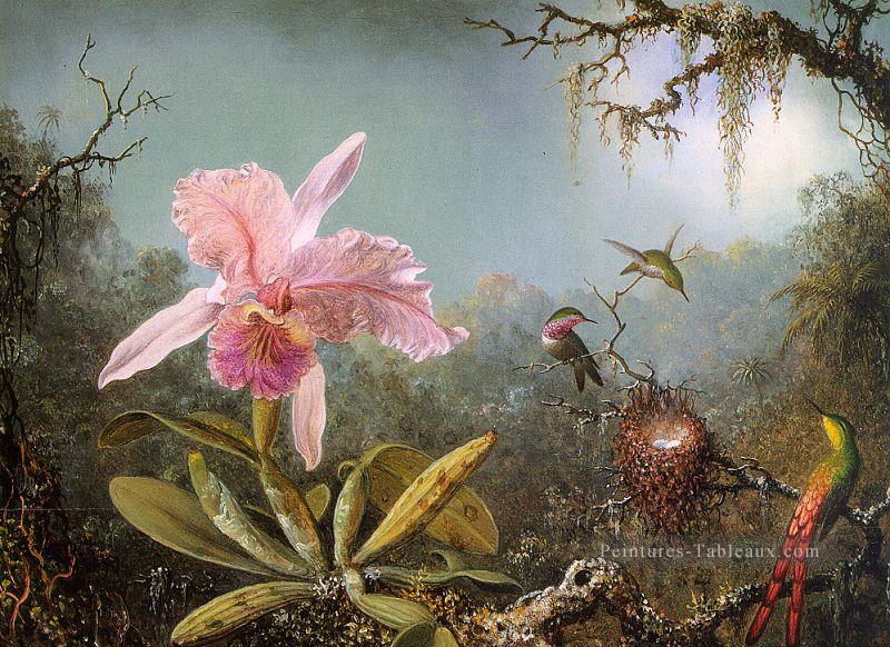 Cattelya Orchidée et trois colibris brésiliens romantique fleur Martin Johnson Heade Peintures à l'huile